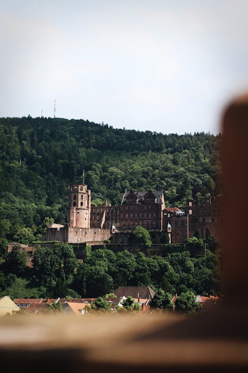 A castle is seen from a hillside