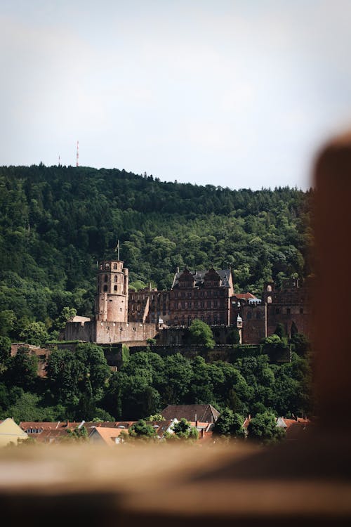 Free A castle is seen from a hillside Stock Photo