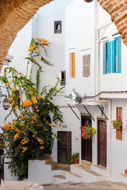 A narrow street with white buildings and orange flowers