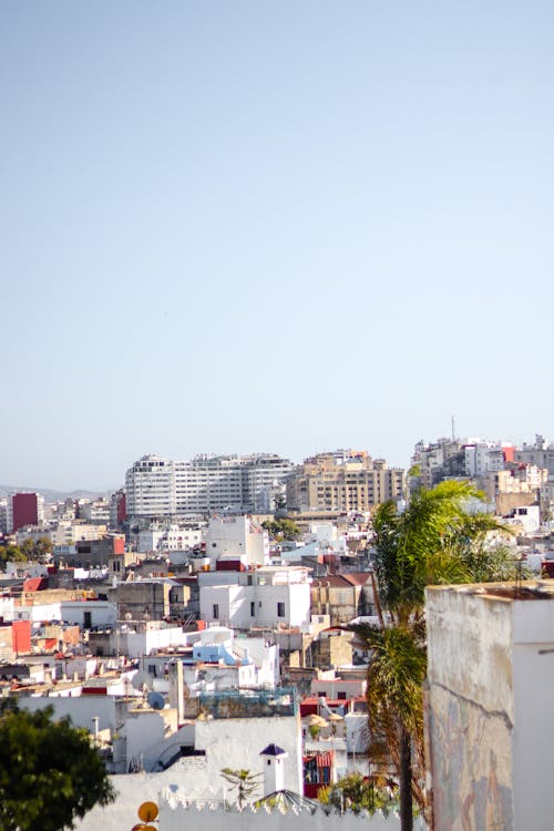 A view of the city from a rooftop