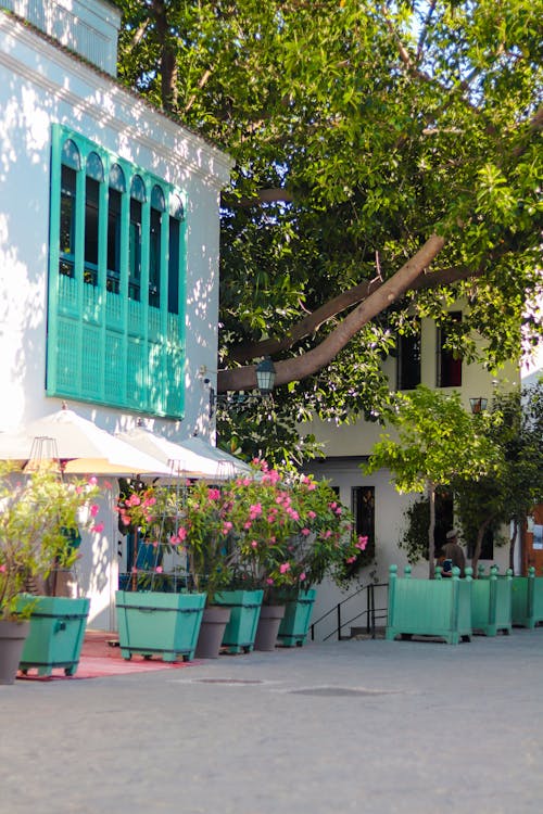 A building with green shutters and green pots