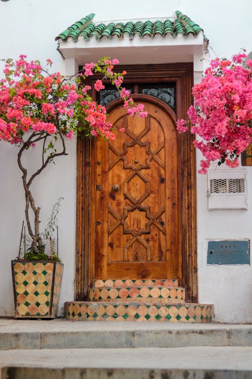 A wooden door with potted flowers in front of it