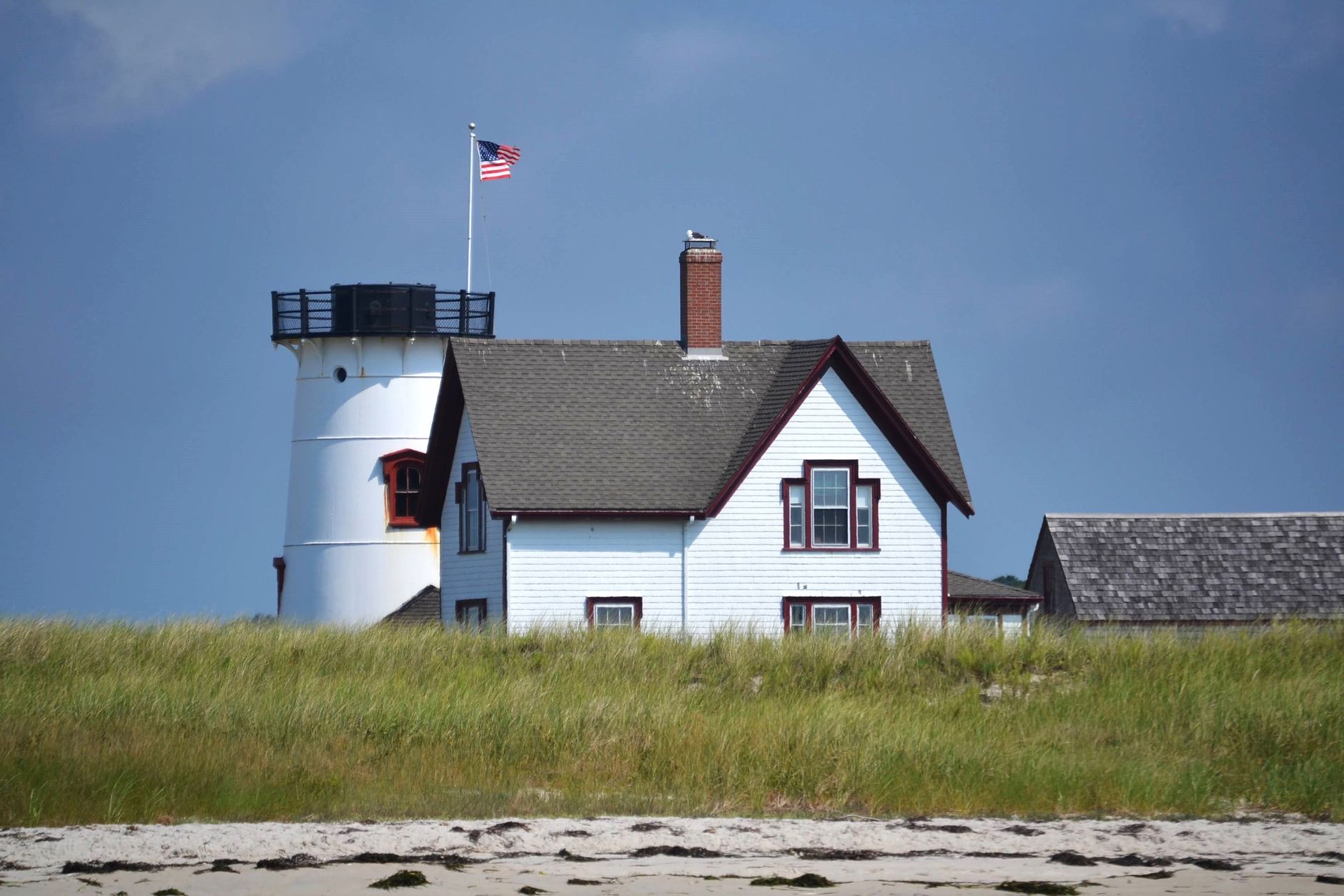 Cape Cod photo 5