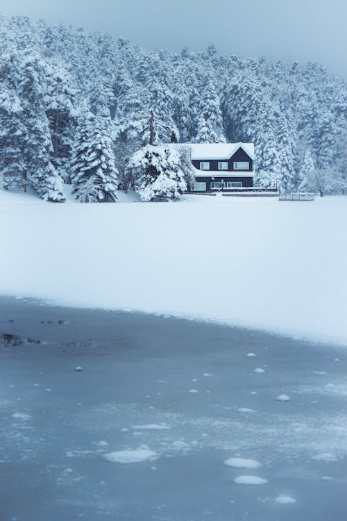 Безкоштовне стокове фото на тему «вертикальні постріл, дерева, замерзле озеро»