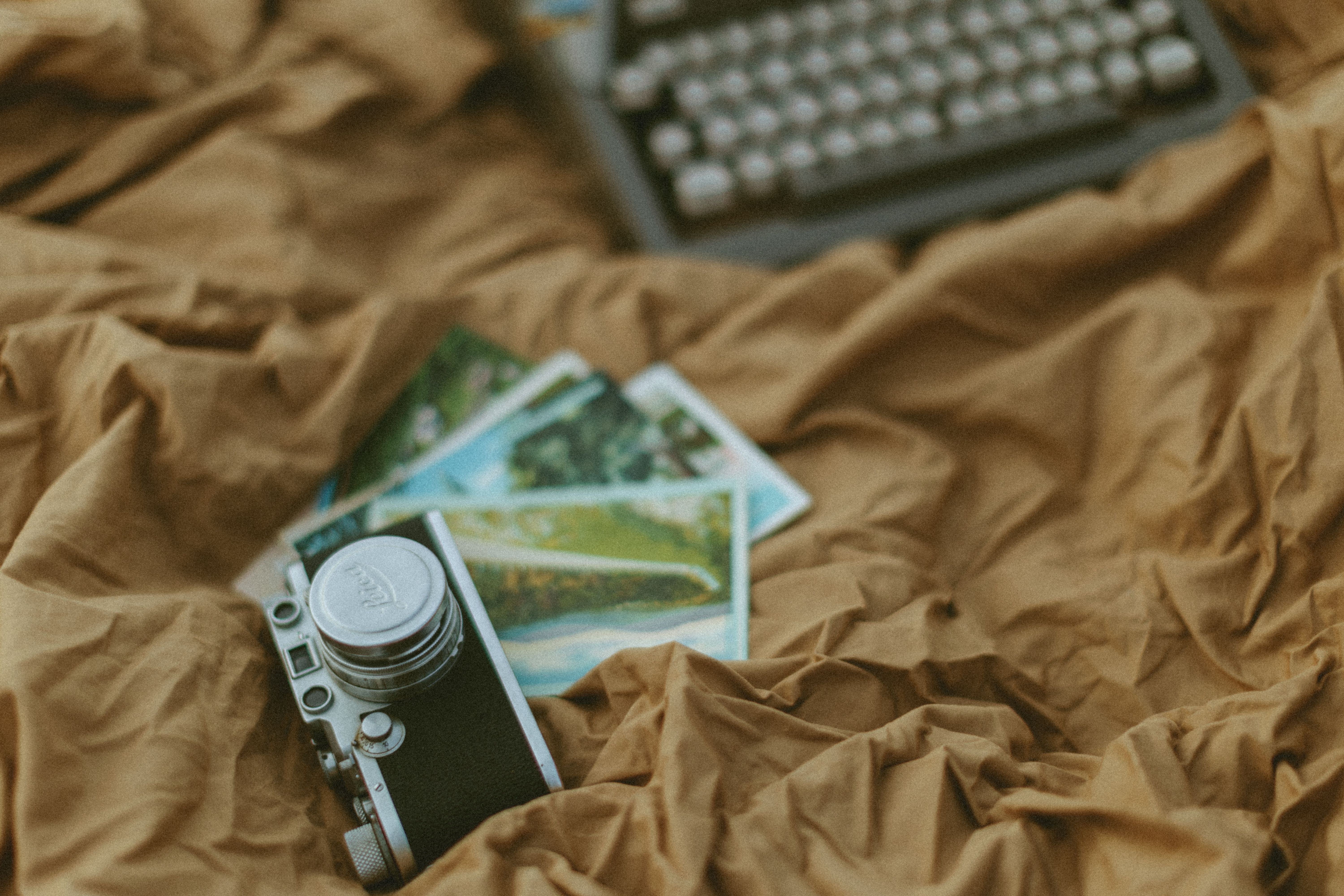 Creative Photography Ideas You Can Make With Chat GPT — Photo by Liberty Talley on Pexels