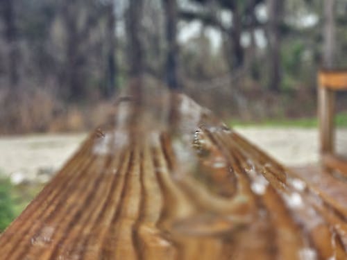 Kostenloses Stock Foto zu bäume, brücke, holz