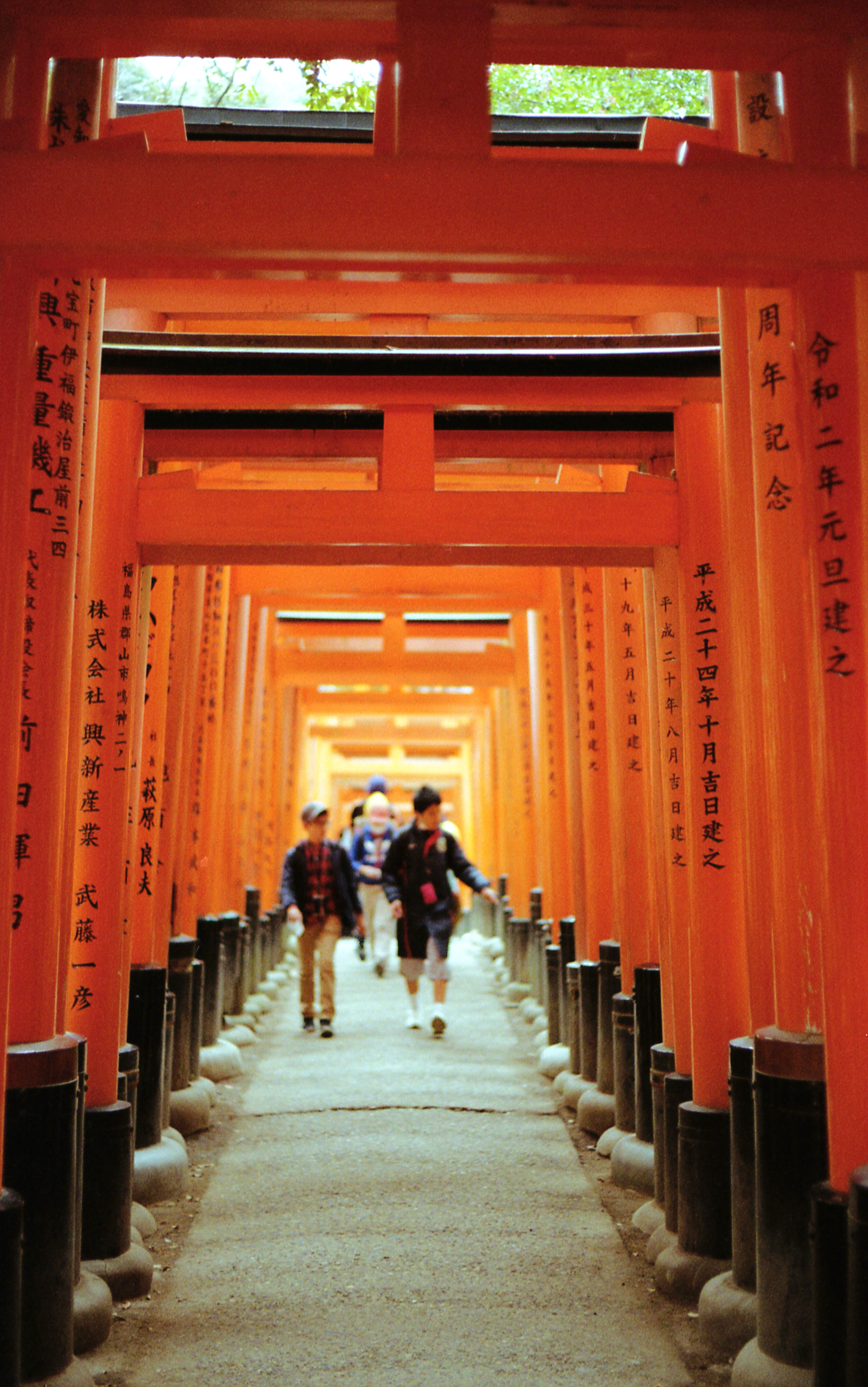 View of People Walking in the Tunnel of Torii Gates at the Fushimi ...