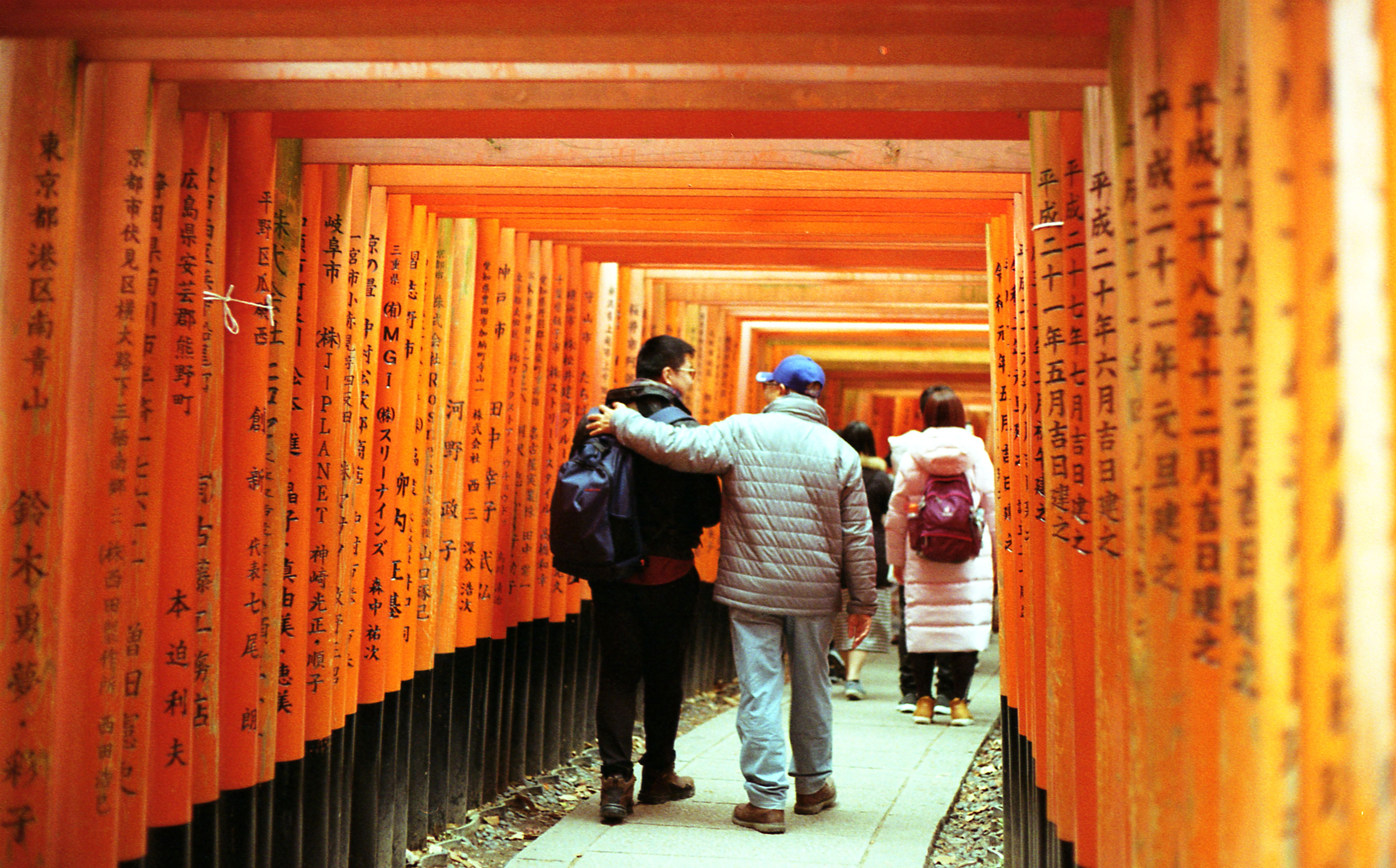 View of People Walking in the Tunnel of Torii Gates at the Fushimi ...