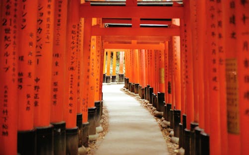 คลังภาพถ่ายฟรี ของ torii, กราฟิกดีไซน์, กลางแจ้ง