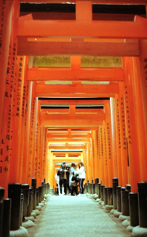 arkadan görünüm, dikey atış, fushimi inari türbe içeren Ücretsiz stok fotoğraf