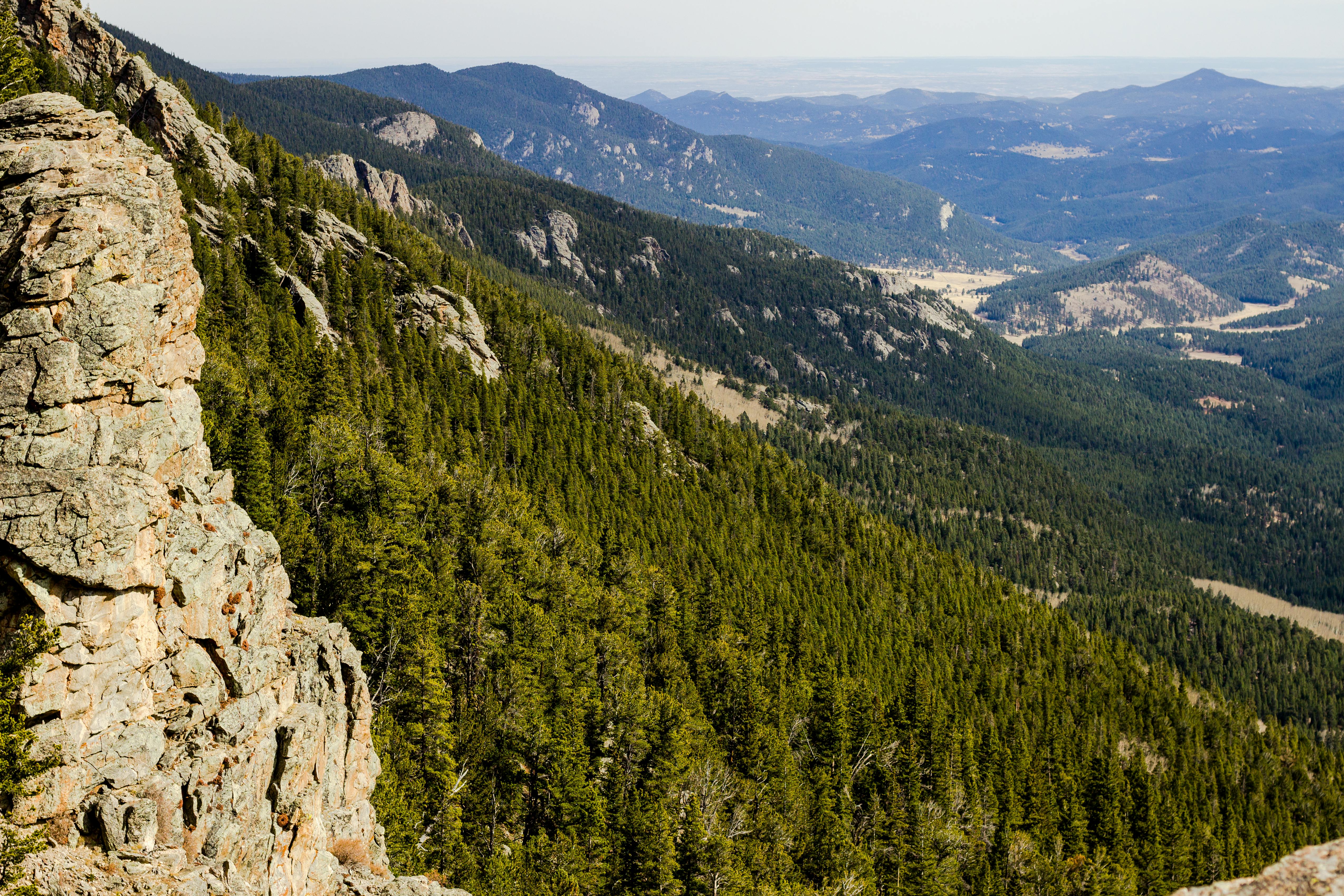 Scenic View of Covered in Coniferous Forest Rocky Mountains of Colorado