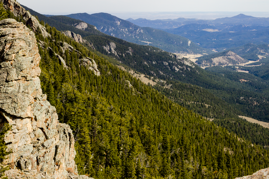 Breathtaking view of the Rocky Mountain forests with expansive valley vistas.