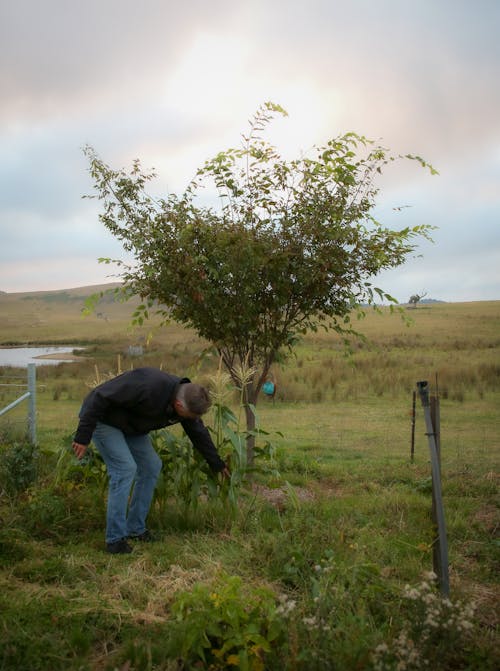 Man with Tree in Countryside