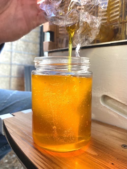 Fresh Honey from Hive