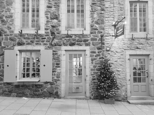 Árbol de navidad en una vieja pared de piedra