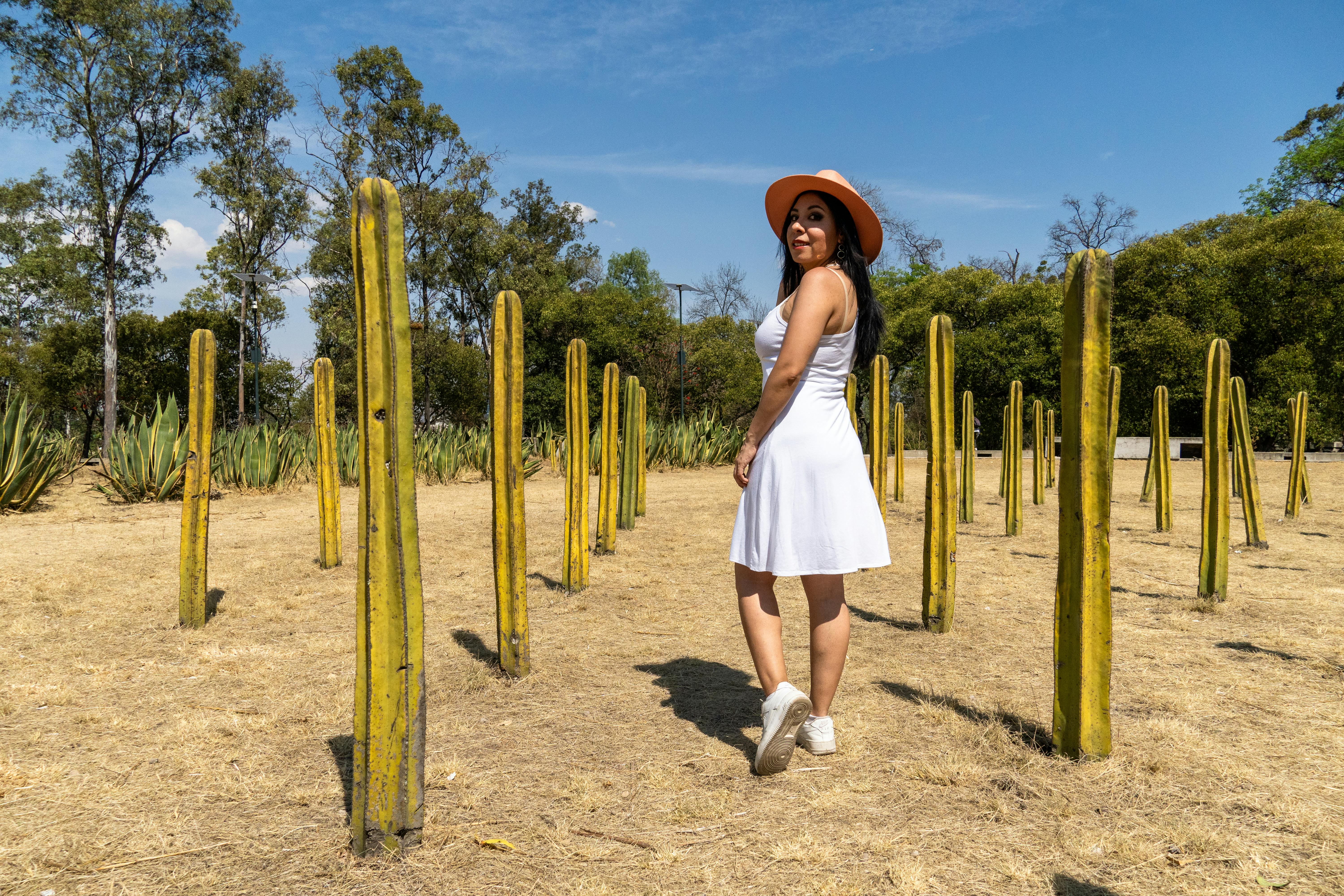 6 Absolute BEST Teotihuacan Tours from Mexico City +Our Review — Photo by Israyosoy S. on Pexels