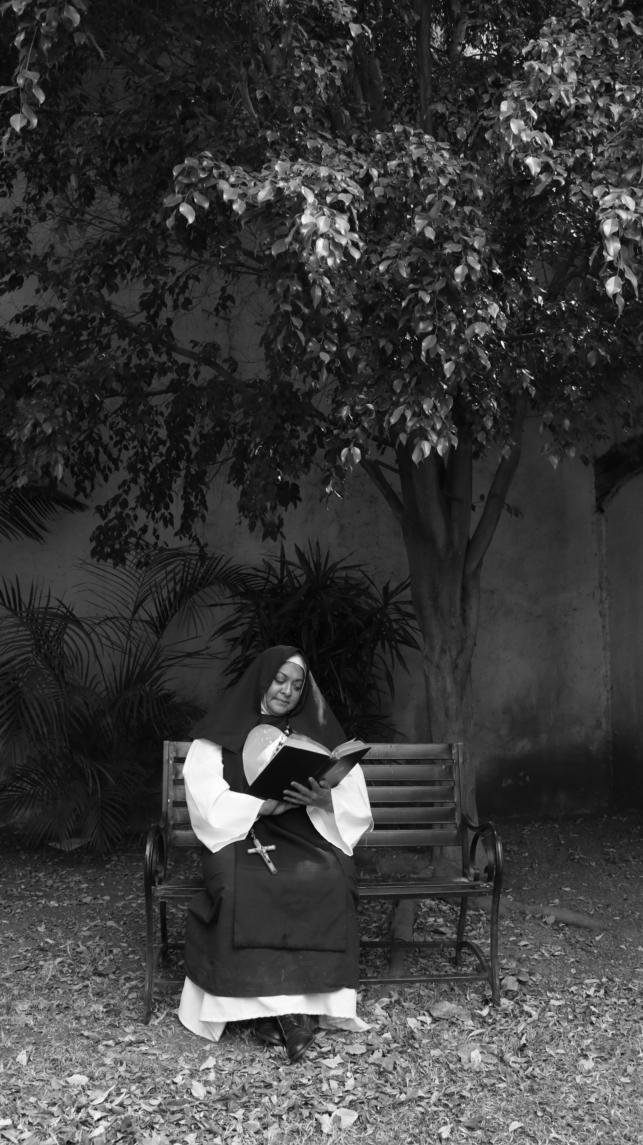 Nun Sitting and Reading under the Tree · Free Stock Photo