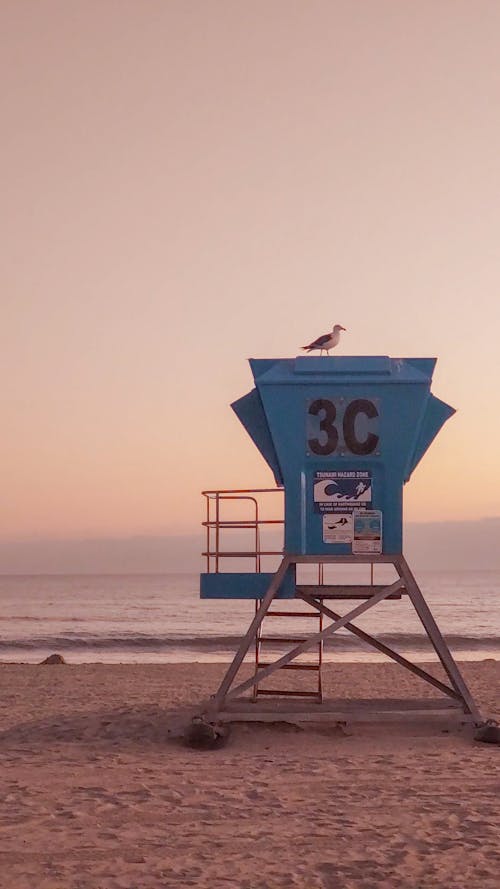 Fotos de stock gratuitas de agua, al aire libre, amanecer