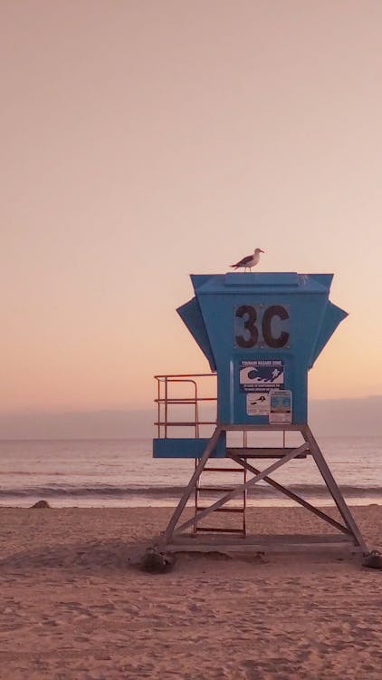 Fotos de stock gratuitas de agua, al aire libre, amanecer