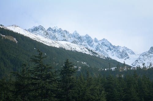 Free A mountain range with snow covered trees and a sky Stock Photo