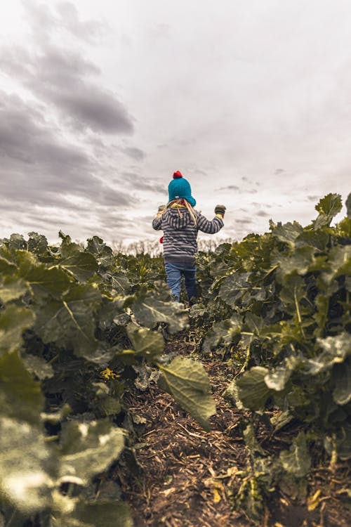 Gratis stockfoto met 20mm, 4k achtergrond, akkerland