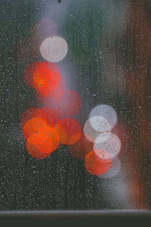 Základová fotografie zdarma na téma bokeh, dešťové kapky, detail