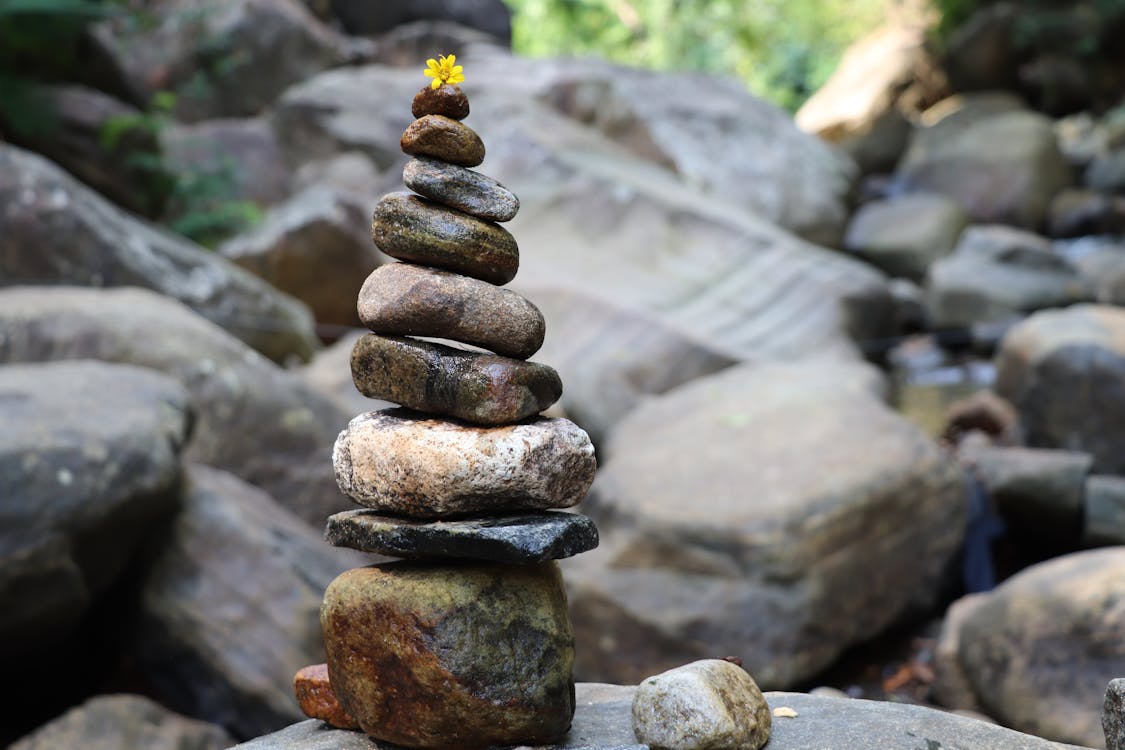 Kostnadsfri bild av balans, fred, gul blomma