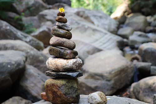 Free Yellow Flower on Top of Pile of Rocks Stock Photo
