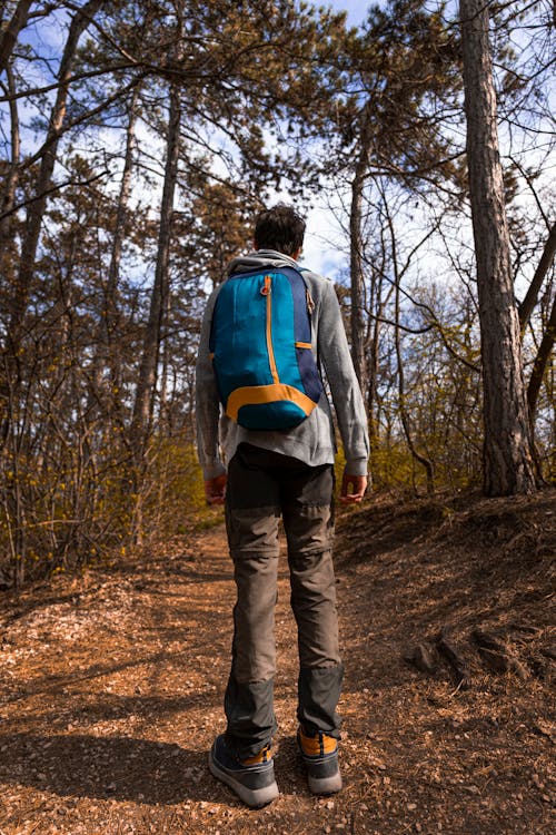 Gratis stockfoto met achteraanzicht, avontuur, backpack