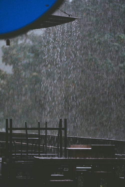 Základová fotografie zdarma na téma déšť, dešťové kapky, plot