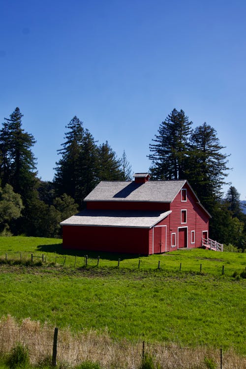 Gratis stockfoto met boerderij, bomen, coniferen