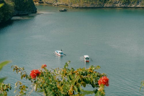 Small Boats on Calm Lake