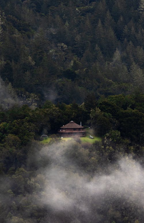 Foto profissional grátis de cênico, colina, de madeira