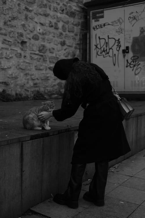 başıboş, dikey atış, dokunaklı içeren Ücretsiz stok fotoğraf