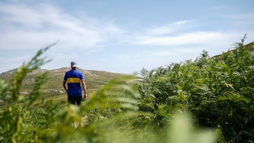 A man walking through the grass on a hill