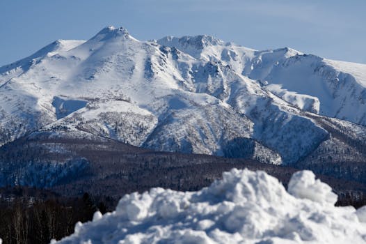 Image by シゲル タカイ