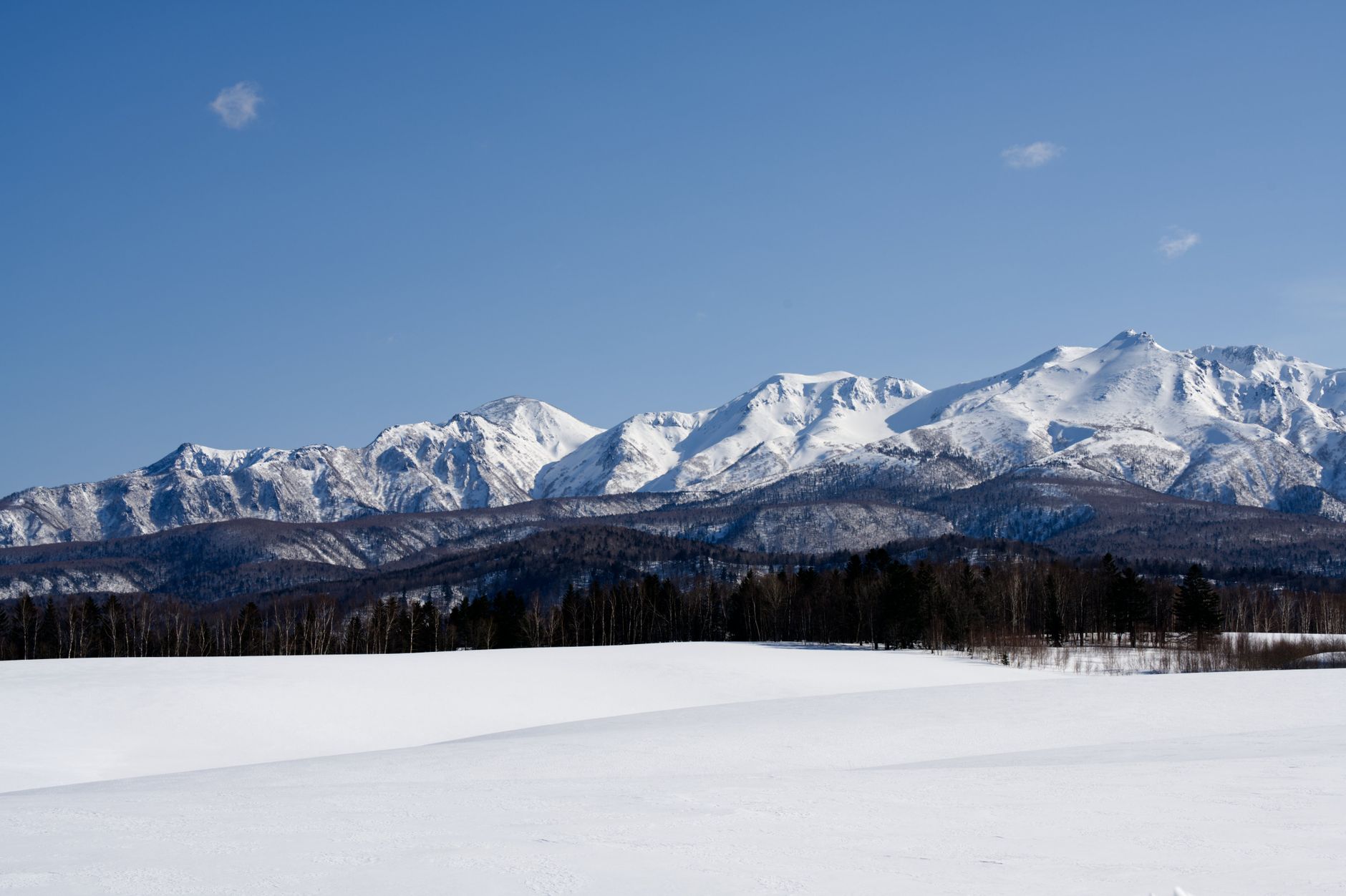 Japan’s Hokkaido Emerges as 2026’s Top Trending Travel Destination