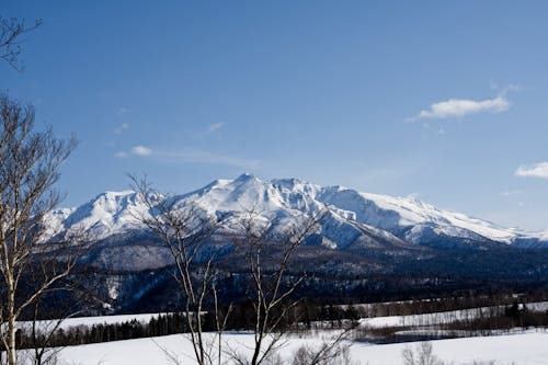 Darmowe zdjęcie z galerii z apecloud, hokkaido, świetny widok