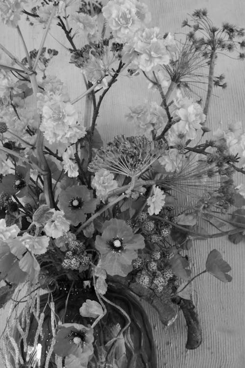Immagine gratuita di albero, bianco e nero, bouquet