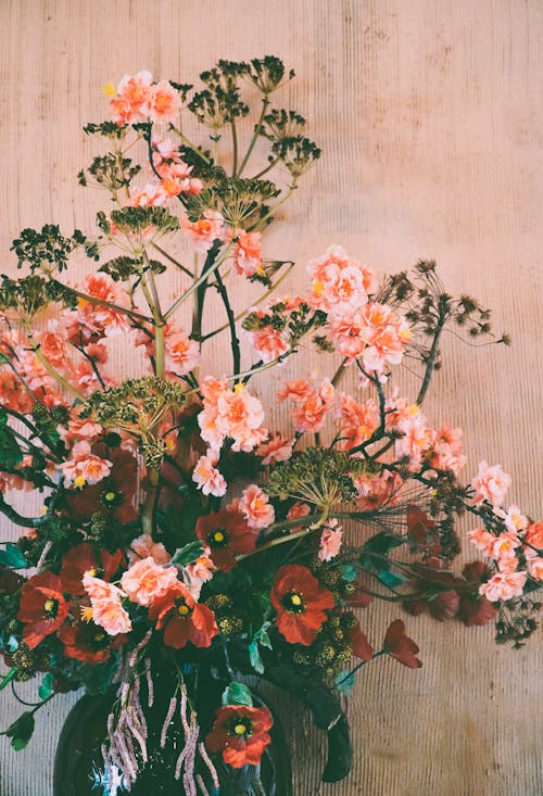 Foto d'estoc gratuïta de amor, arranjament floral, cigrons
