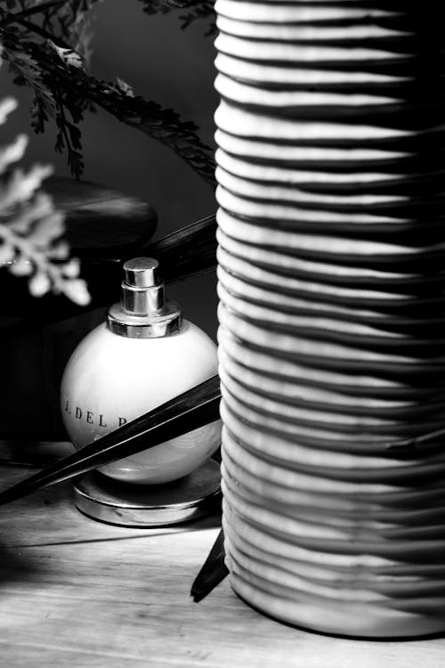A black and white photo of a vase and a plant