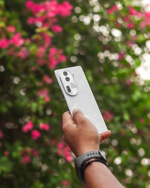 Free A person holding a phone with a flower in the background Stock Photo