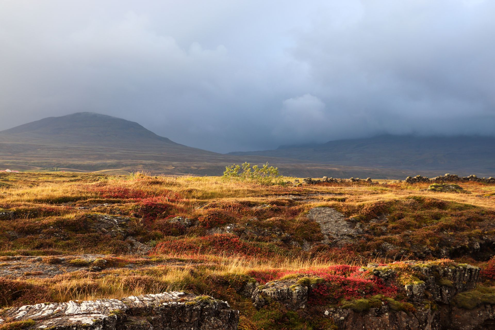 Vast tundra landscape captured with rocks, hills, and moody clouds at dawn.