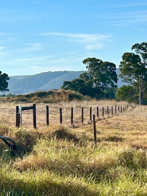 Ingyenes stockfotó ausztrál ország, farm kerítés, kerítés témában