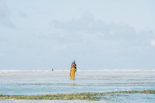 Immagine gratuita di acqua, in piedi, litorale