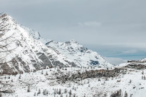 A snowy mountain range with trees and snow covered ground