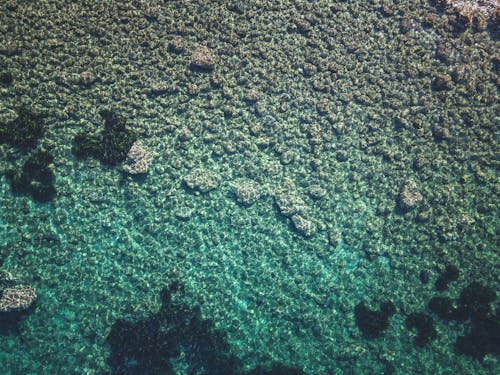 Foto d'estoc gratuïta de aigua, foto des d'un dron, mar