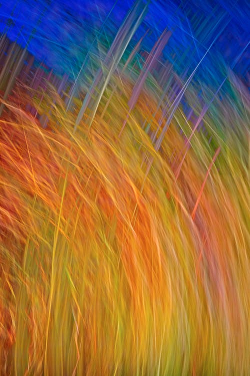 Abstract painting of colorful grasses