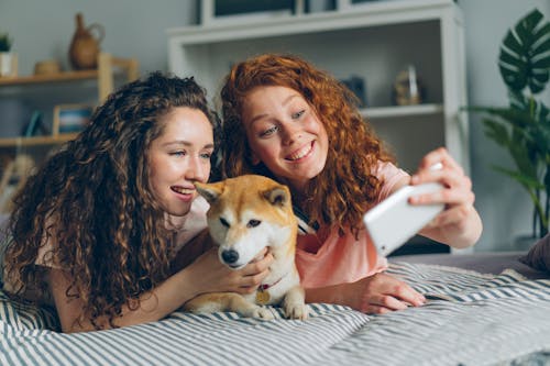 Kostnadsfri bild av hund, hylla, kvinnor