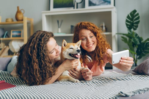 Two women and a dog on a bed taking a selfie